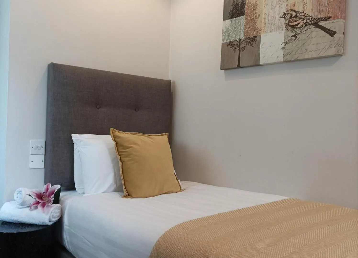 Tom Dick And Harriet'S Accommodation Dublin Guest house